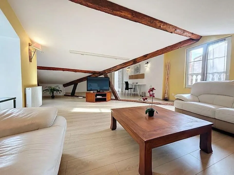 Le Chalet Des Carmes - Charmant T4 Hypercentre Toulouse France