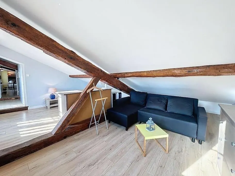 Le Chalet Des Carmes - Charmant T4 Hypercentre Toulouse Apartment