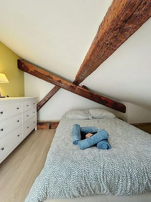 Le Chalet Des Carmes - Charmant T4 Hypercentre Toulouse